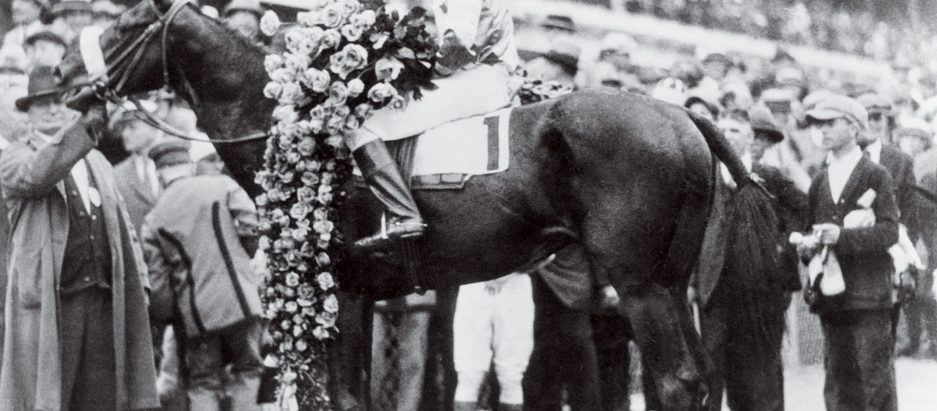 Image shows the famous horse, Black Gold, at Churchill Downs